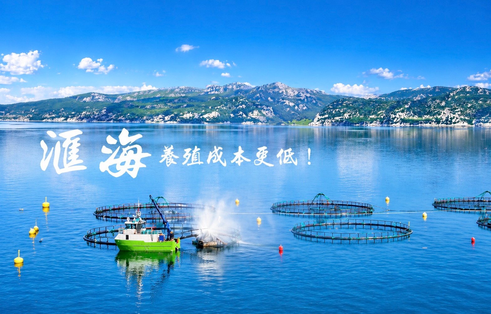 南宫ng28养殖成本更低、更赢利